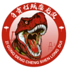 ทีม ซีกง